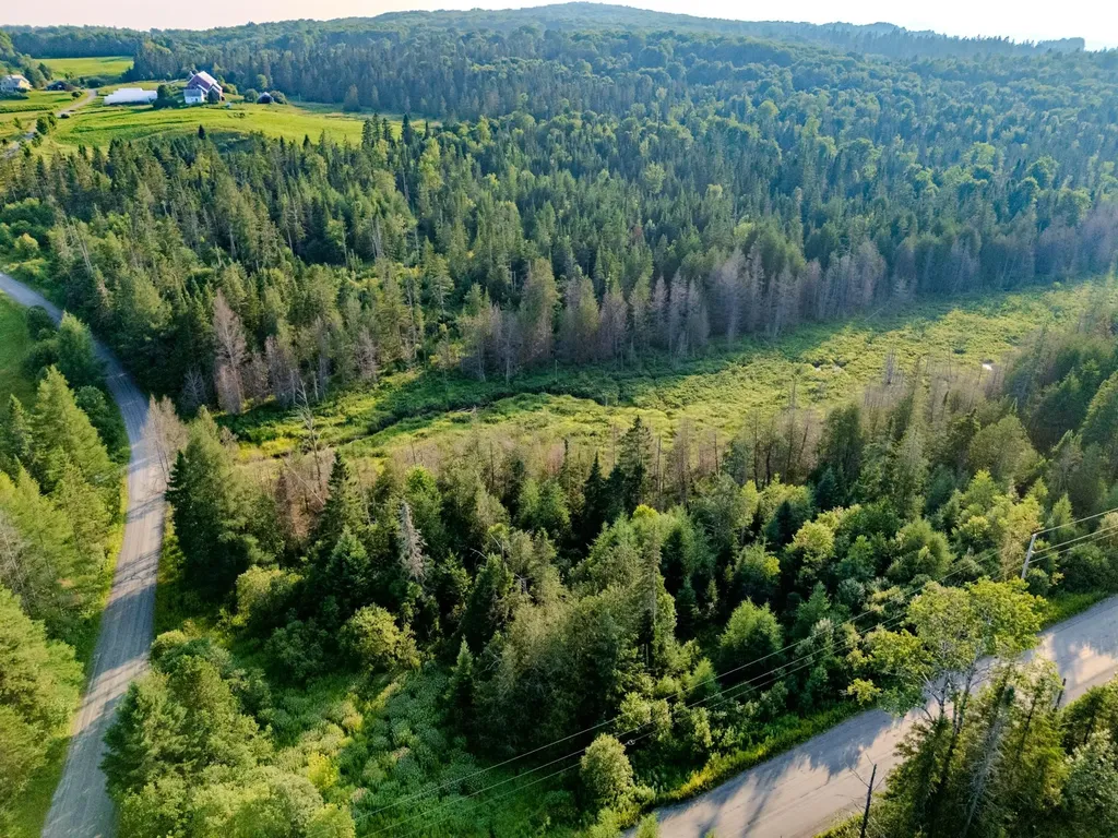 00 Watson Road Walden VT 05843