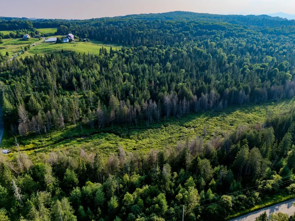 00 Watson Road Walden VT 05843