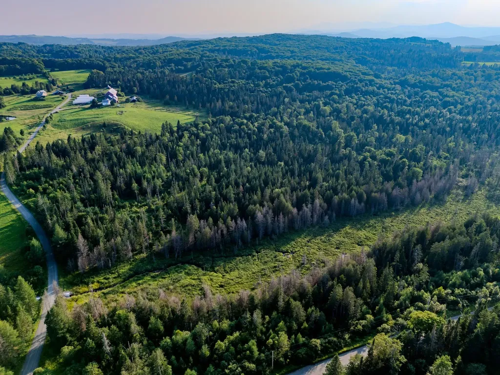 00 Watson Road Walden VT 05843