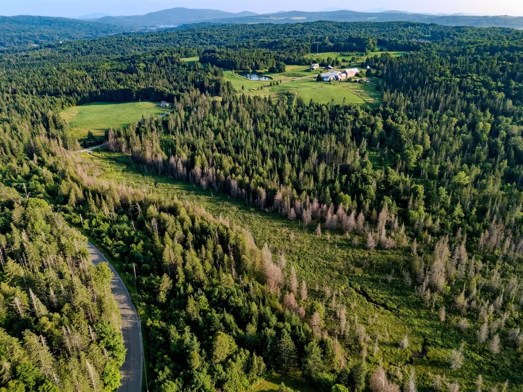 00 Watson Road Walden VT 05843