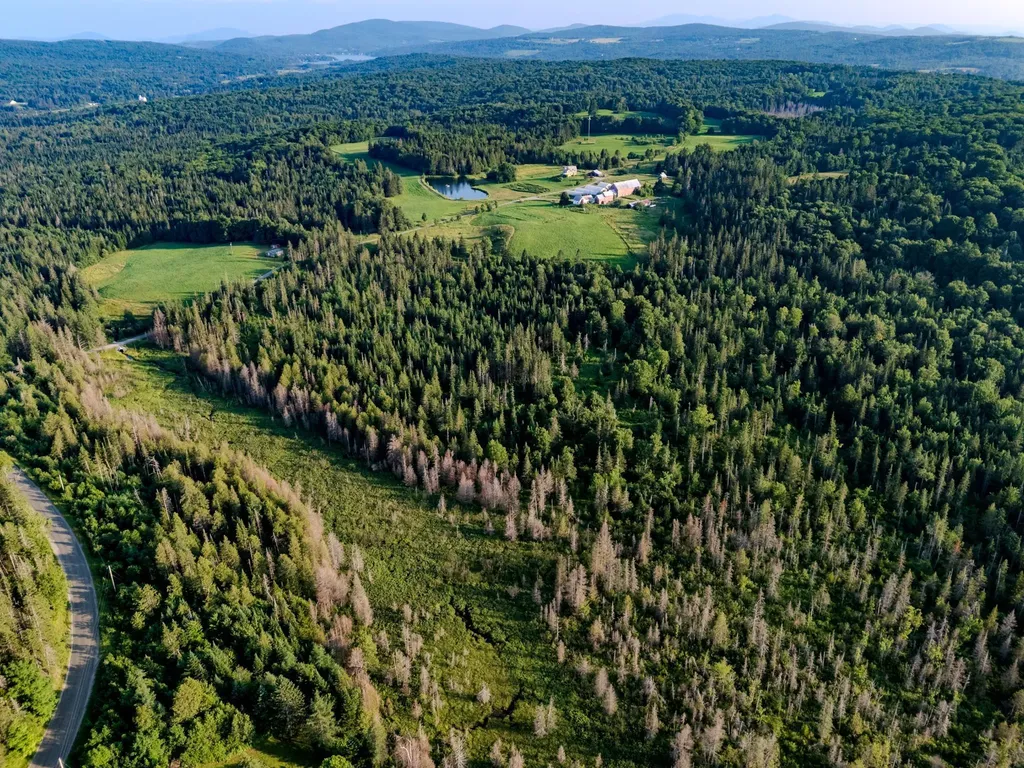 00 Watson Road Walden VT 05843