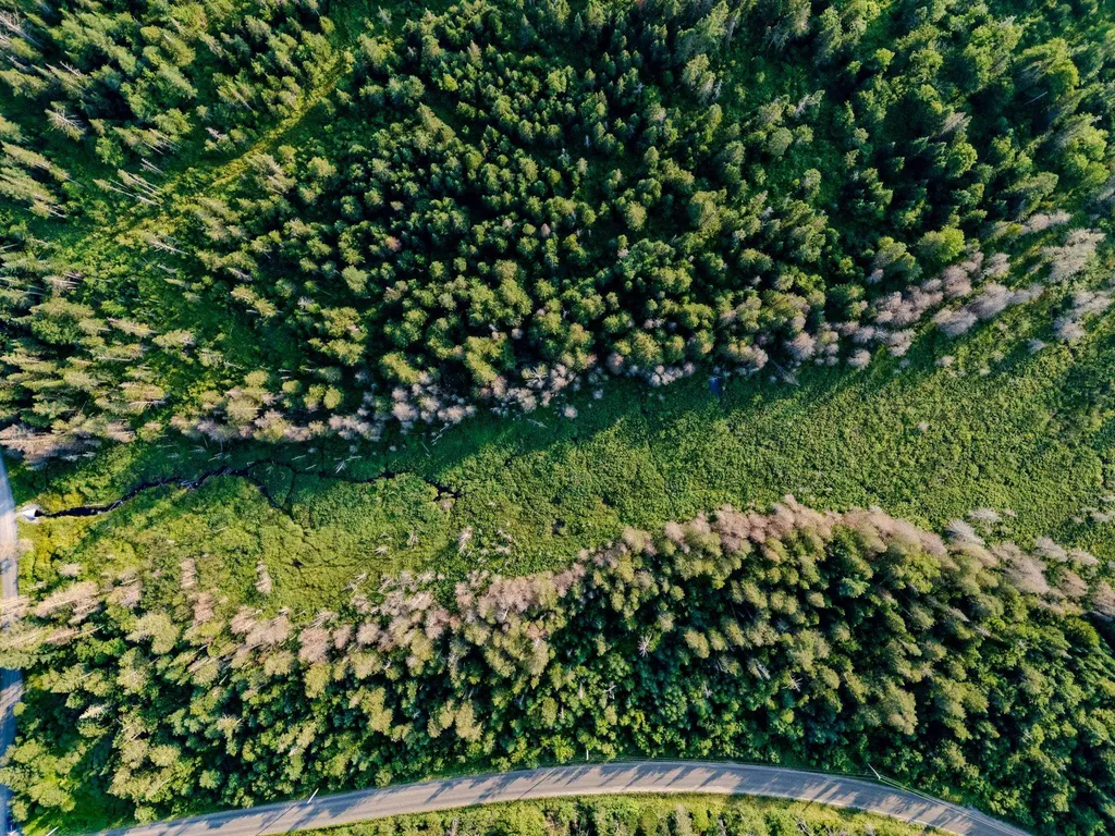 00 Watson Road Walden VT 05843