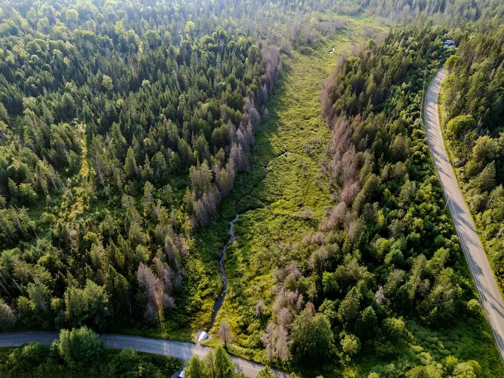 00 Watson Road Walden VT 05843