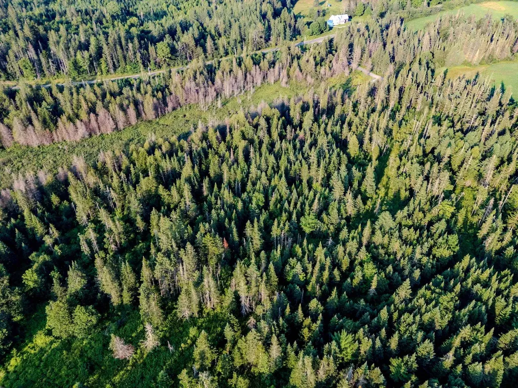 00 Watson Road Walden VT 05843