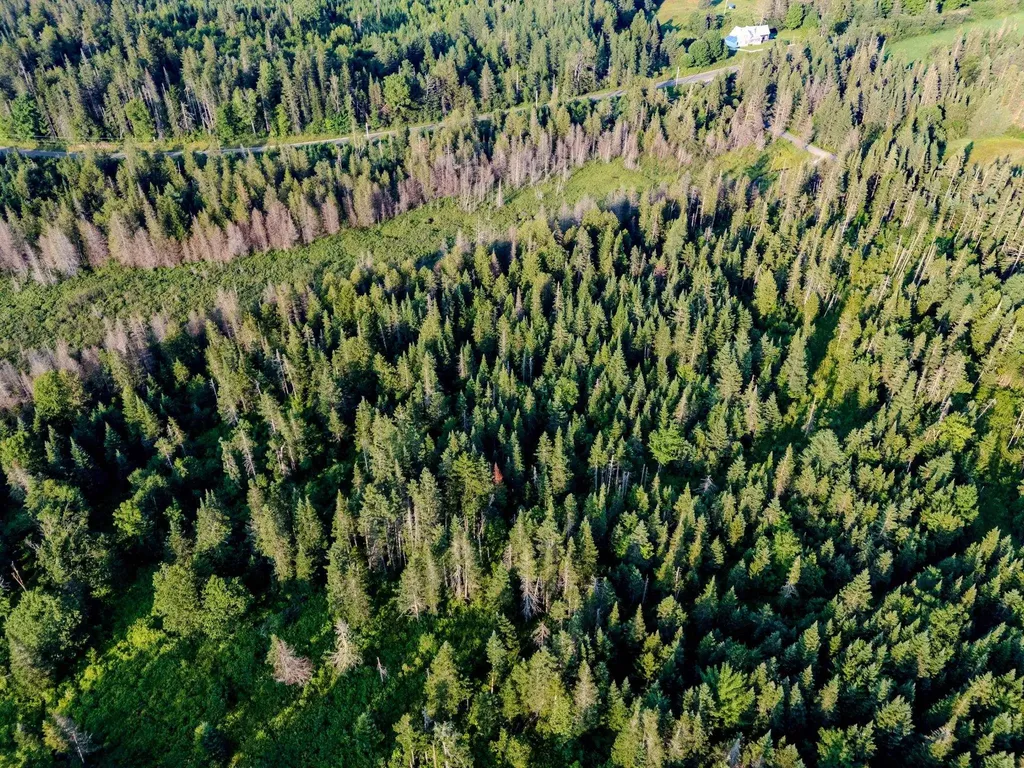 00 Watson Road Walden VT 05843