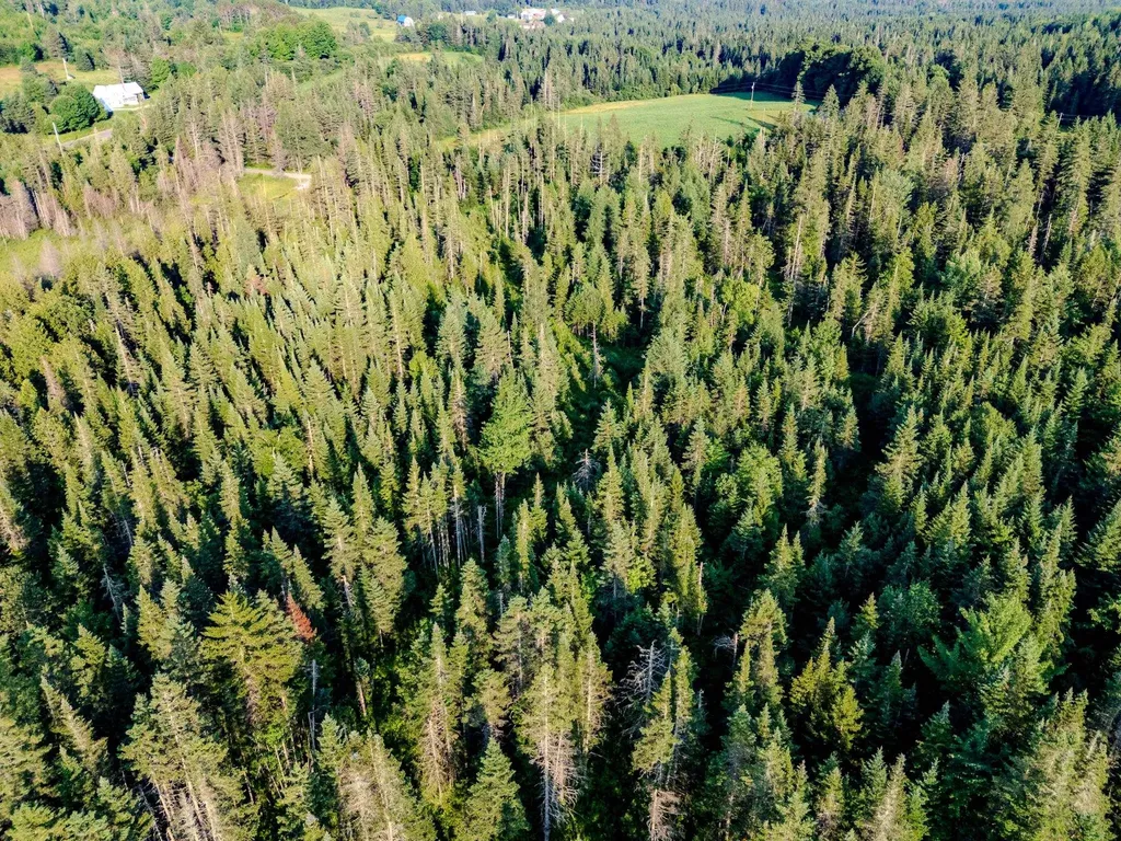 00 Watson Road Walden VT 05843