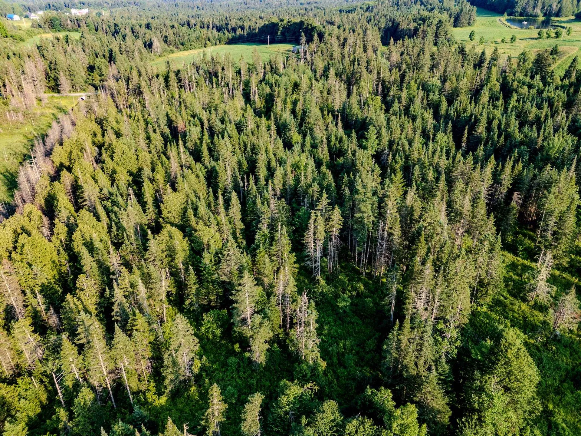 00 Watson Road Walden VT 05843