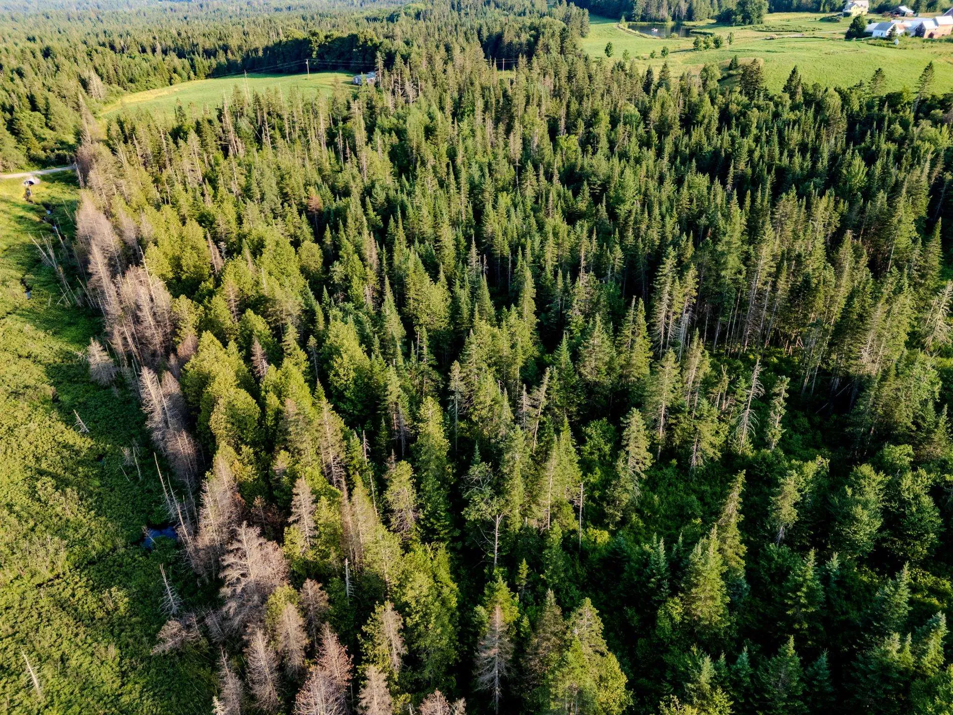 00 Watson Road Walden VT 05843