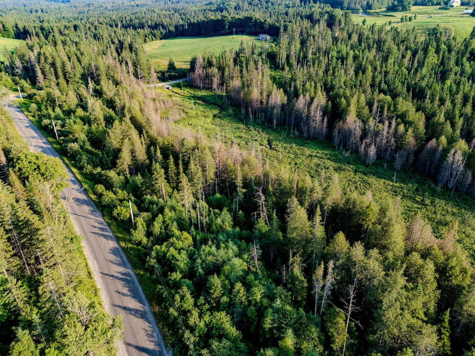 00 Watson Road Walden VT 05843