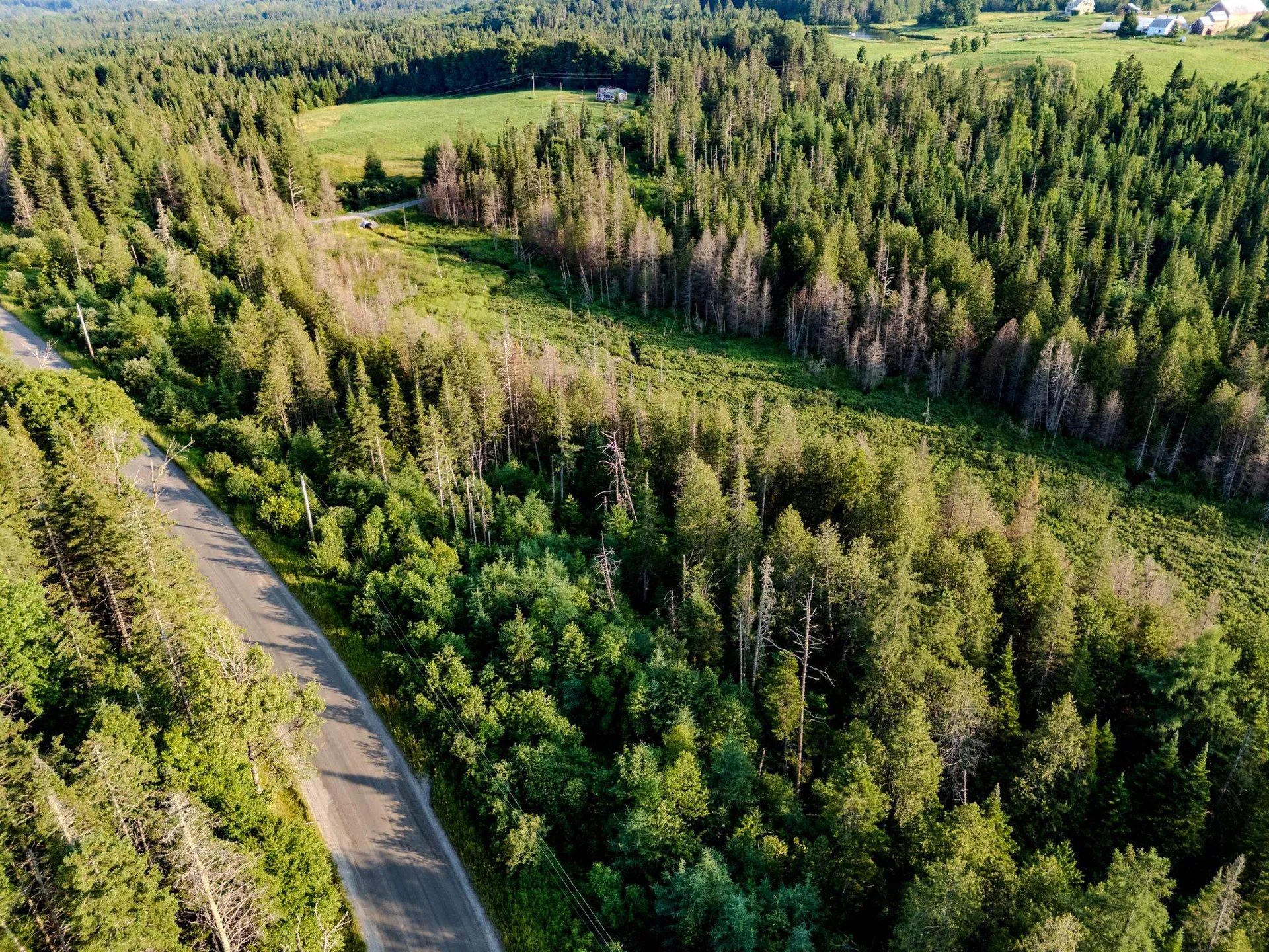 00 Watson Road Walden VT 05843