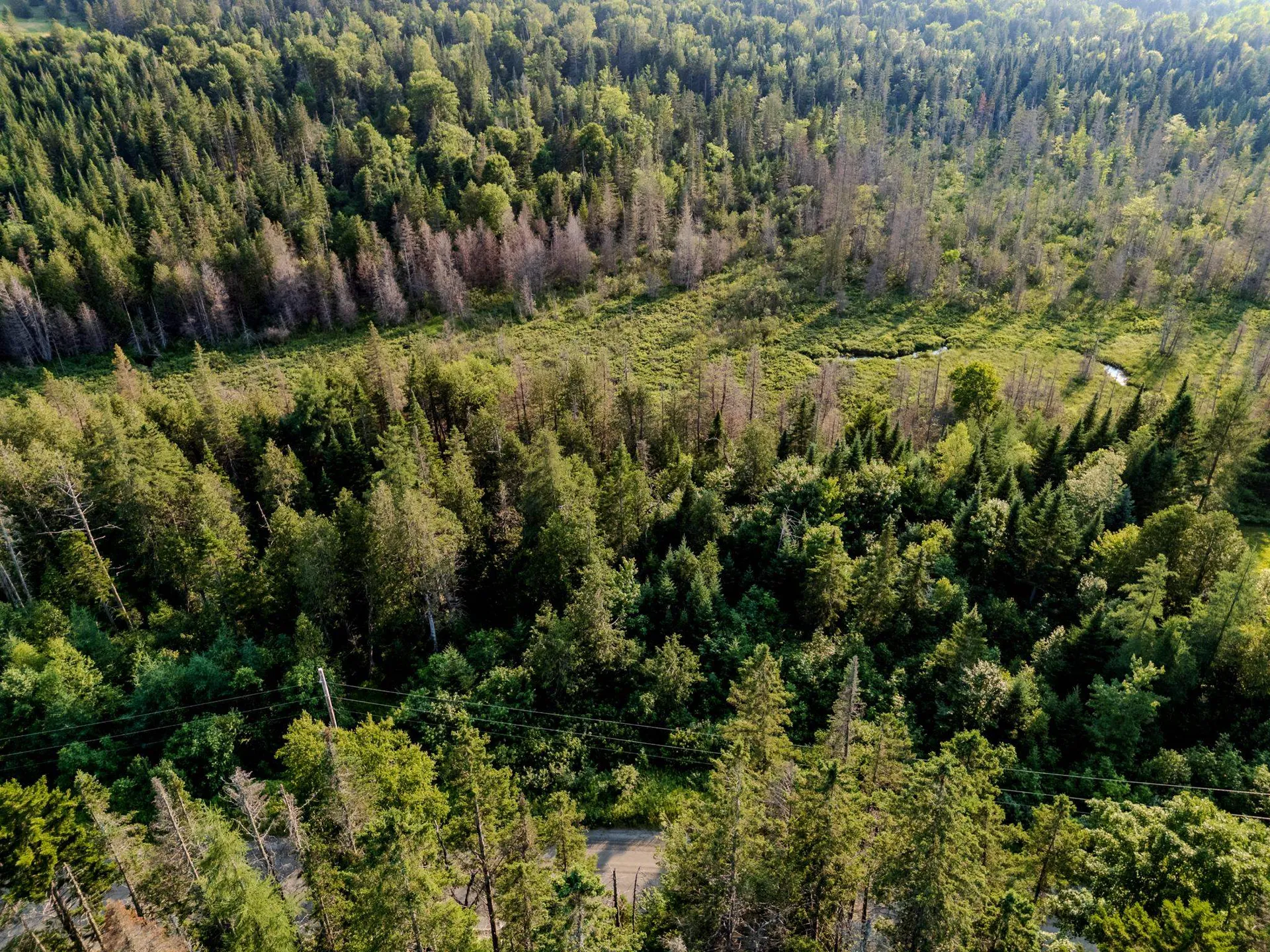 00 Watson Road Walden VT 05843