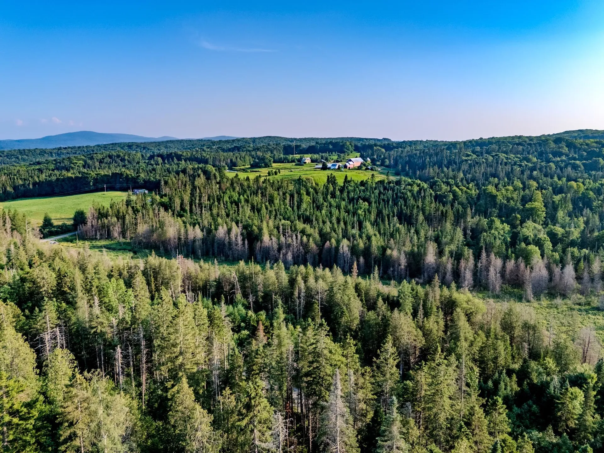 00 Watson Road Walden VT 05843