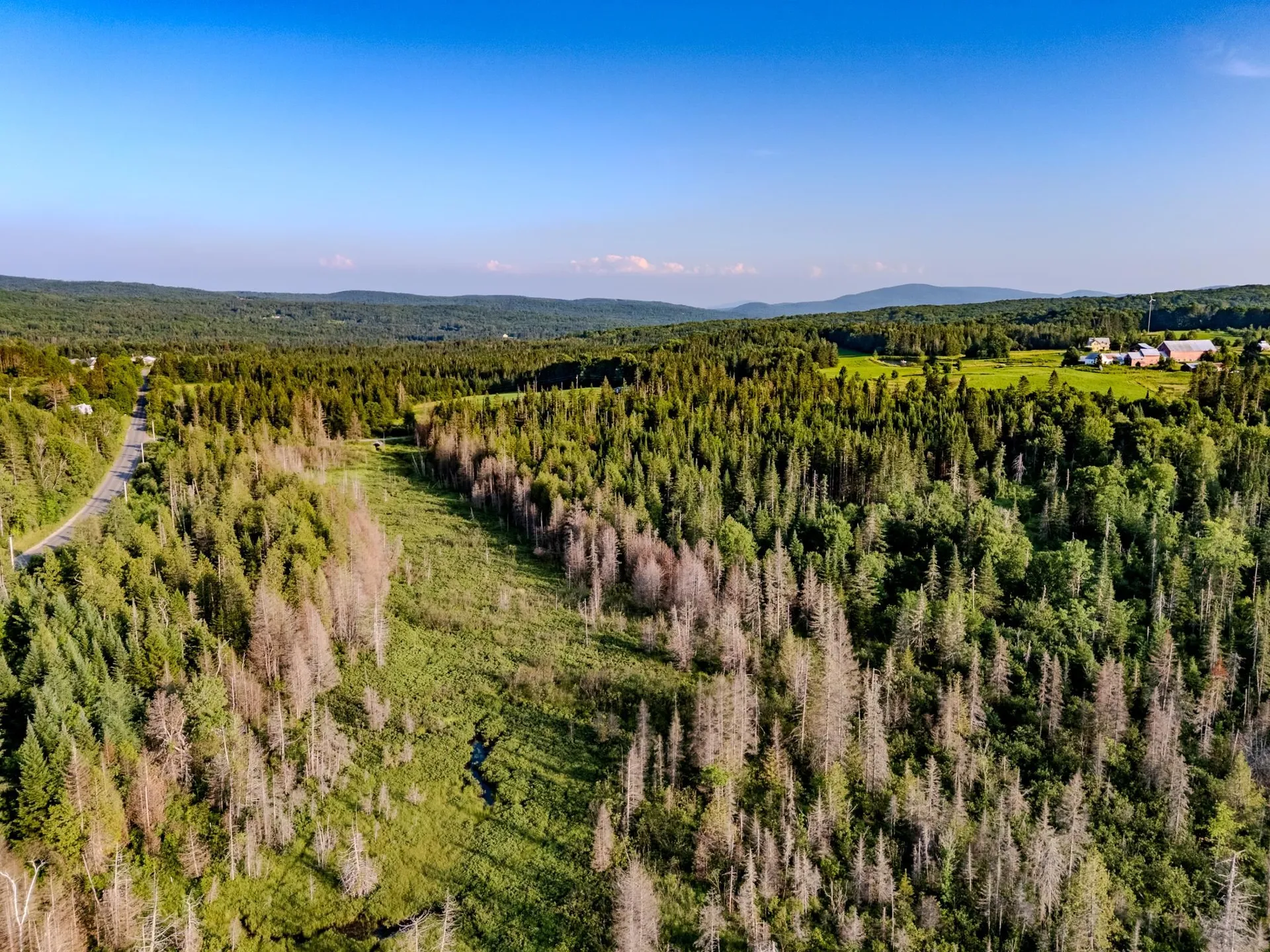 00 Watson Road Walden VT 05843