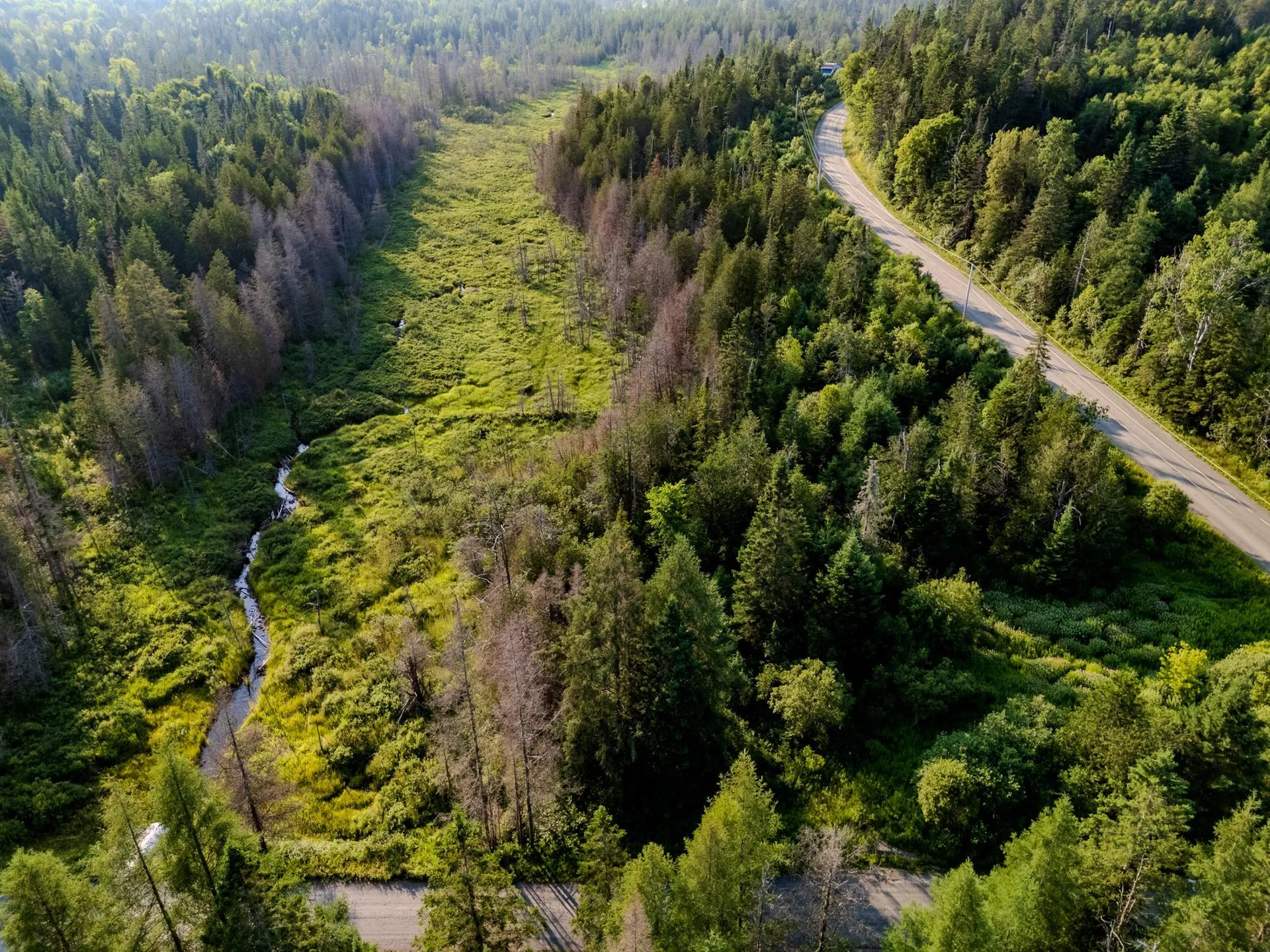 00 Watson Road Walden VT 05843