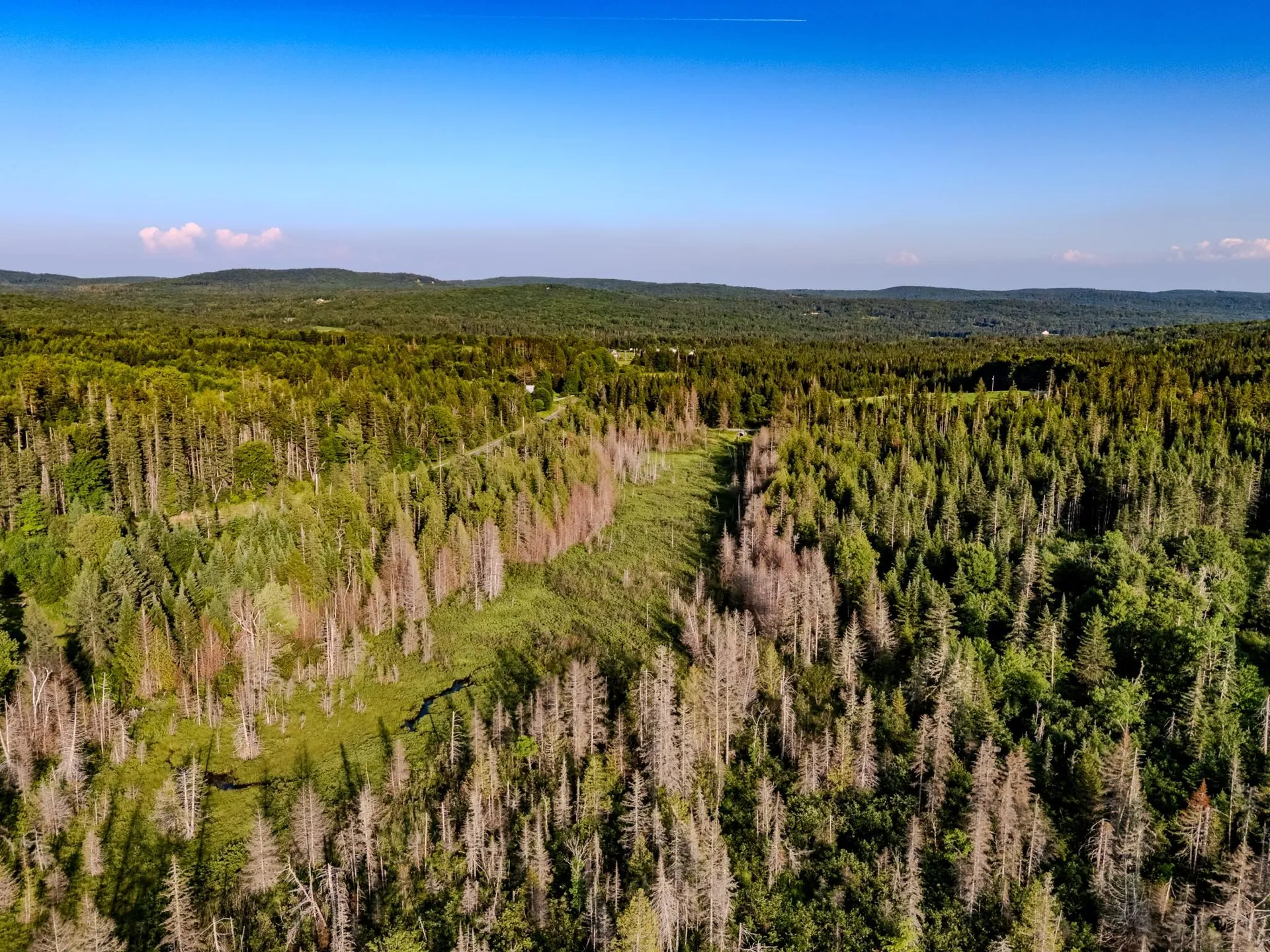 00 Watson Road Walden VT 05843