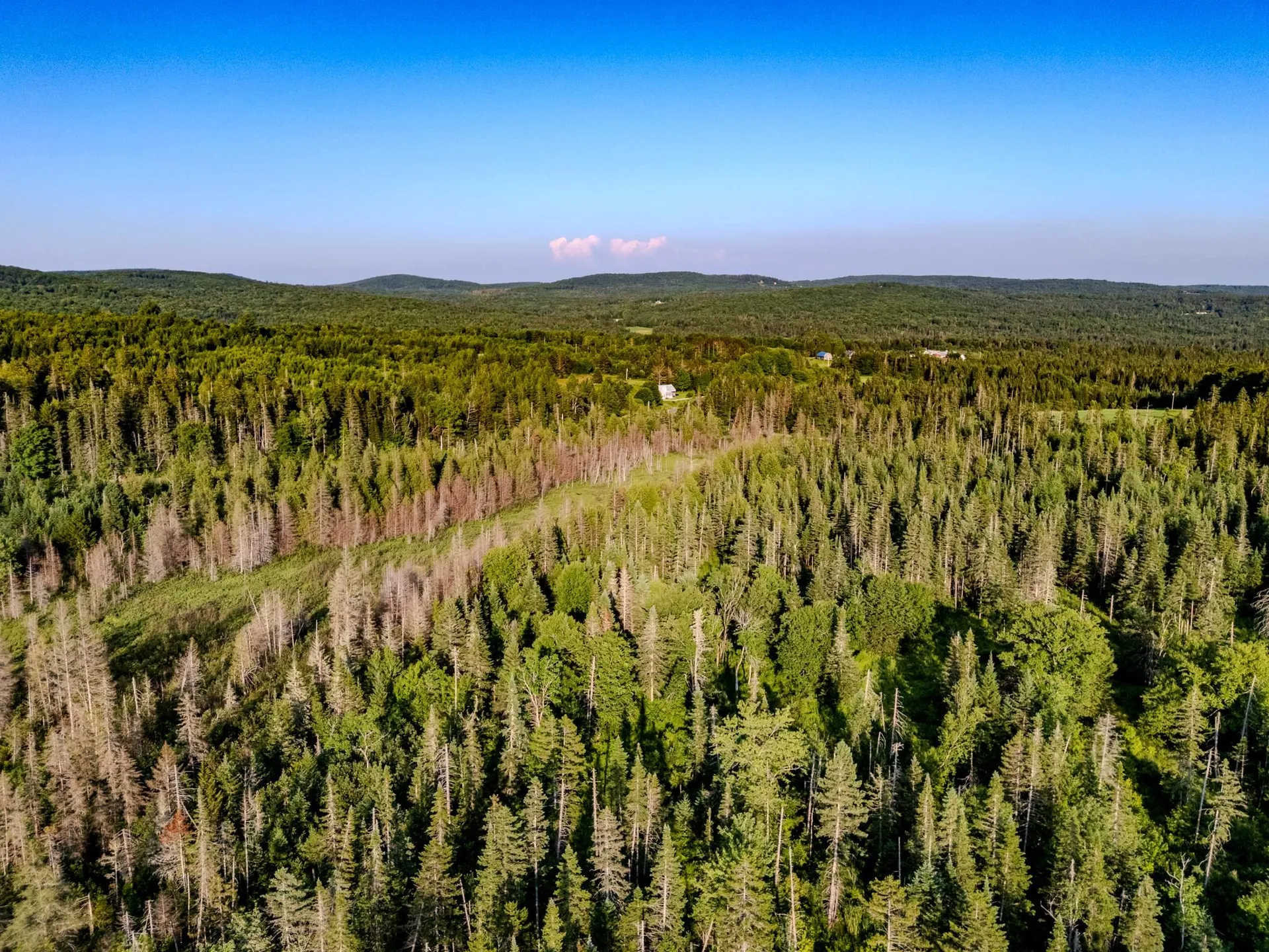 00 Watson Road Walden VT 05843