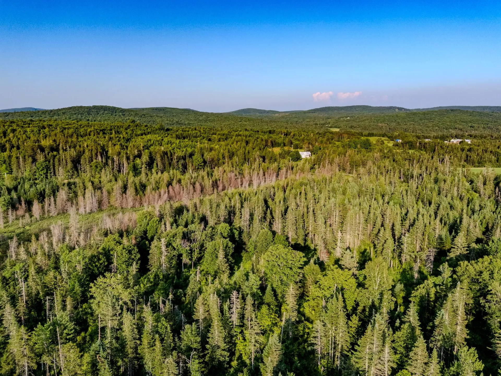 00 Watson Road Walden VT 05843