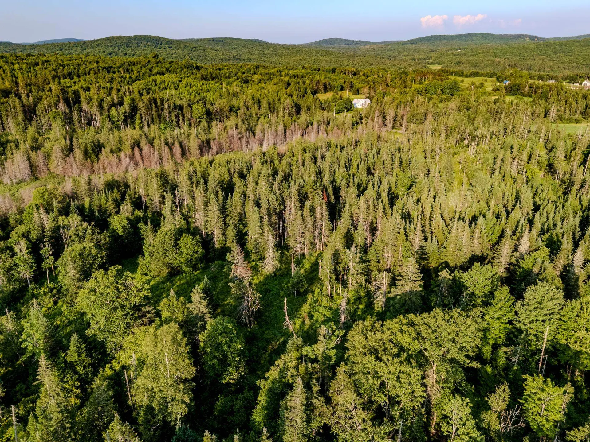 00 Watson Road Walden VT 05843