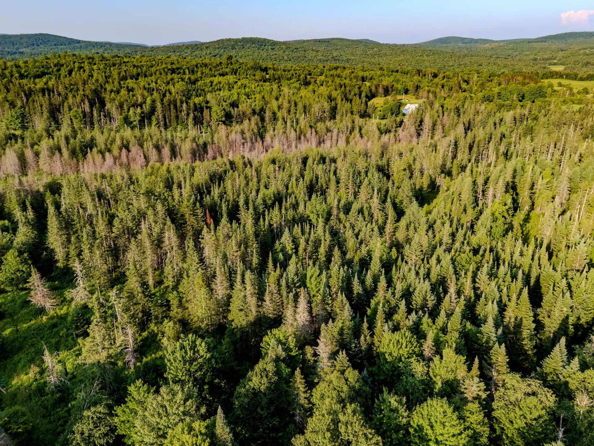 00 Watson Road Walden VT 05843