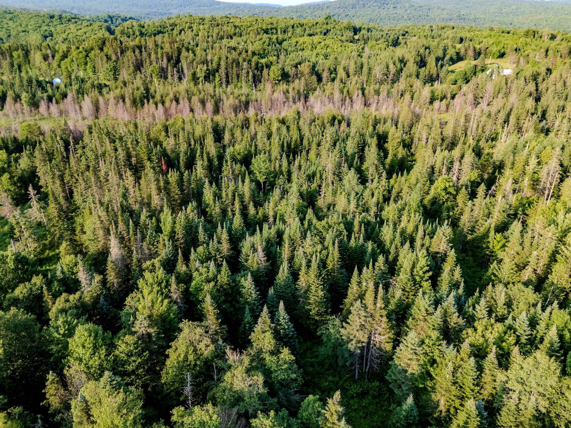 00 Watson Road Walden VT 05843