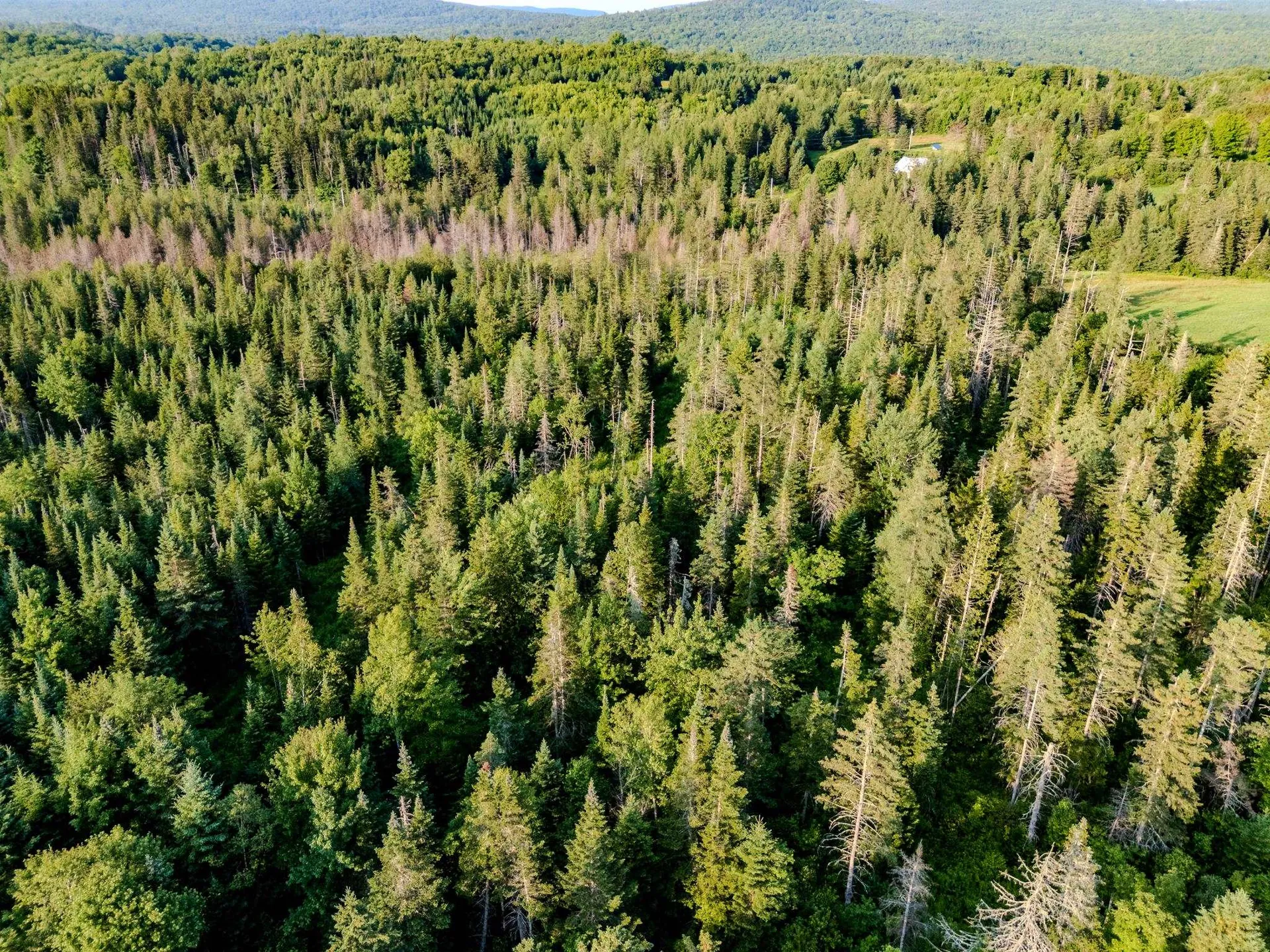 00 Watson Road Walden VT 05843