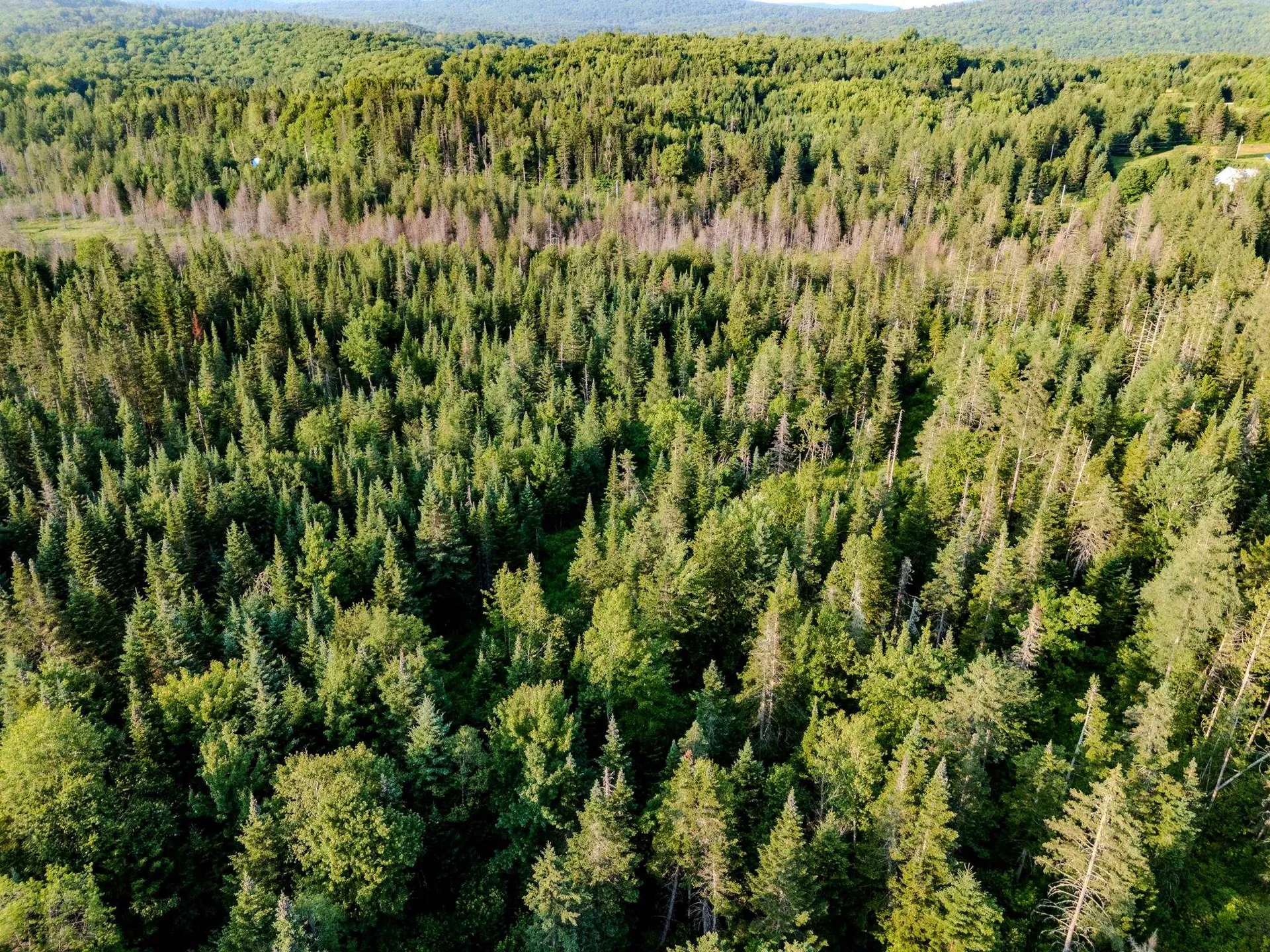 00 Watson Road Walden VT 05843