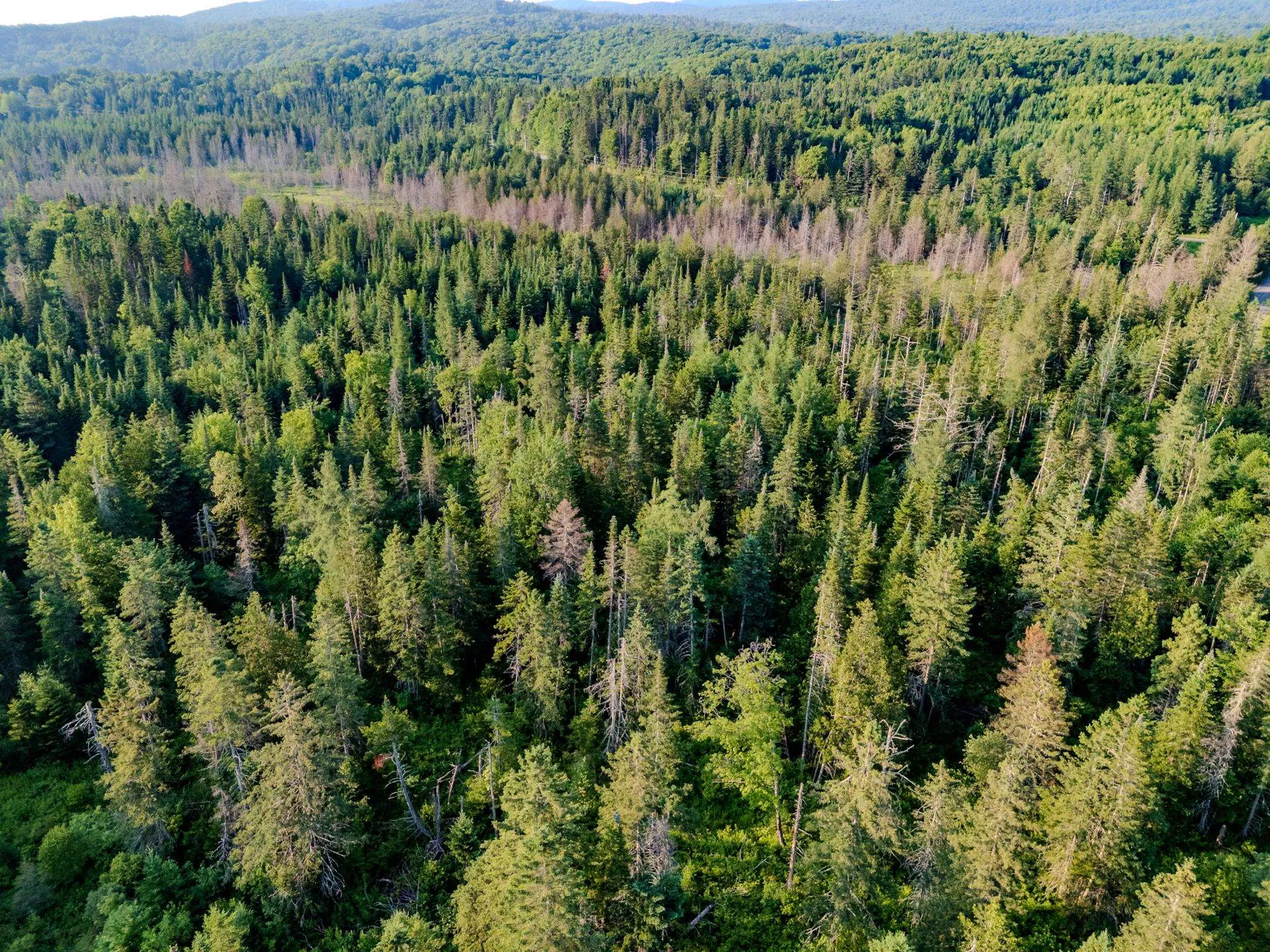 00 Watson Road Walden VT 05843