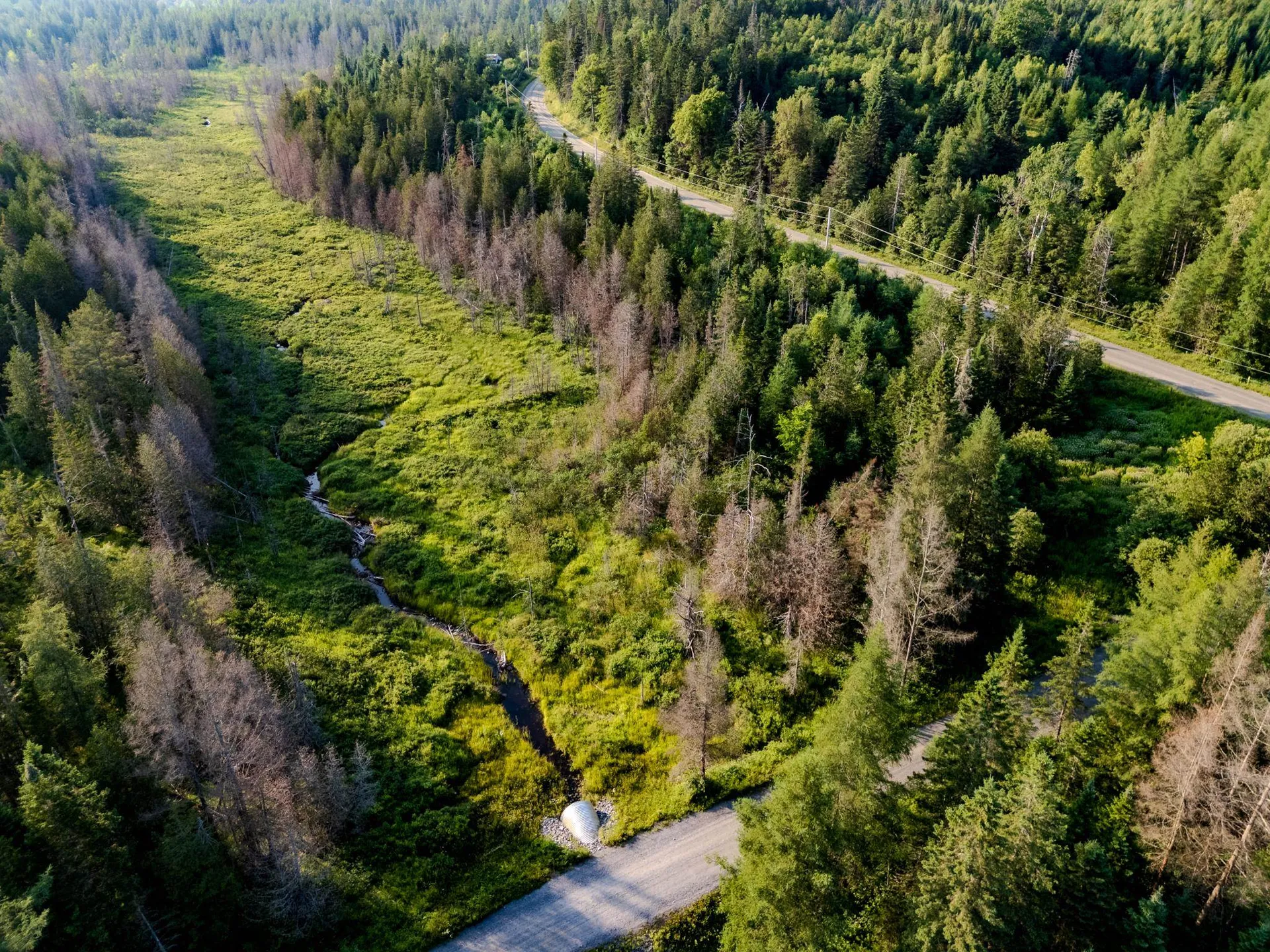 00 Watson Road Walden VT 05843