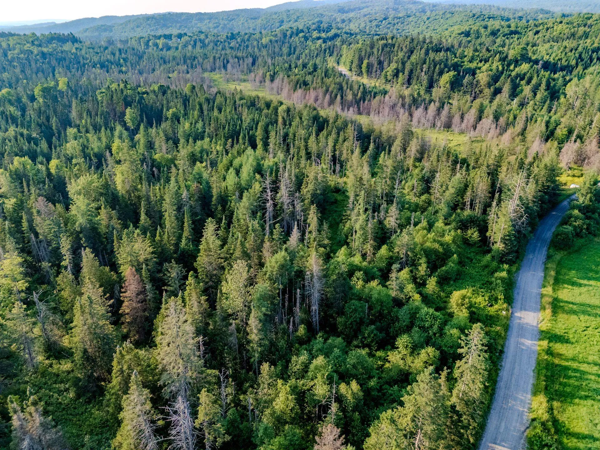 00 Watson Road Walden VT 05843