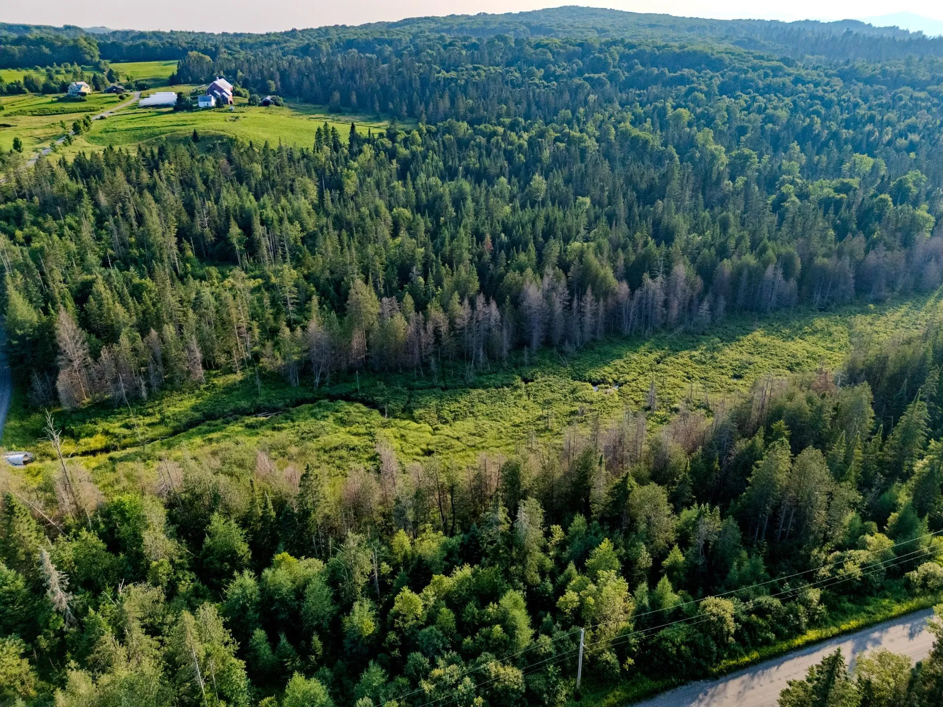 00 Watson Road Walden VT 05843