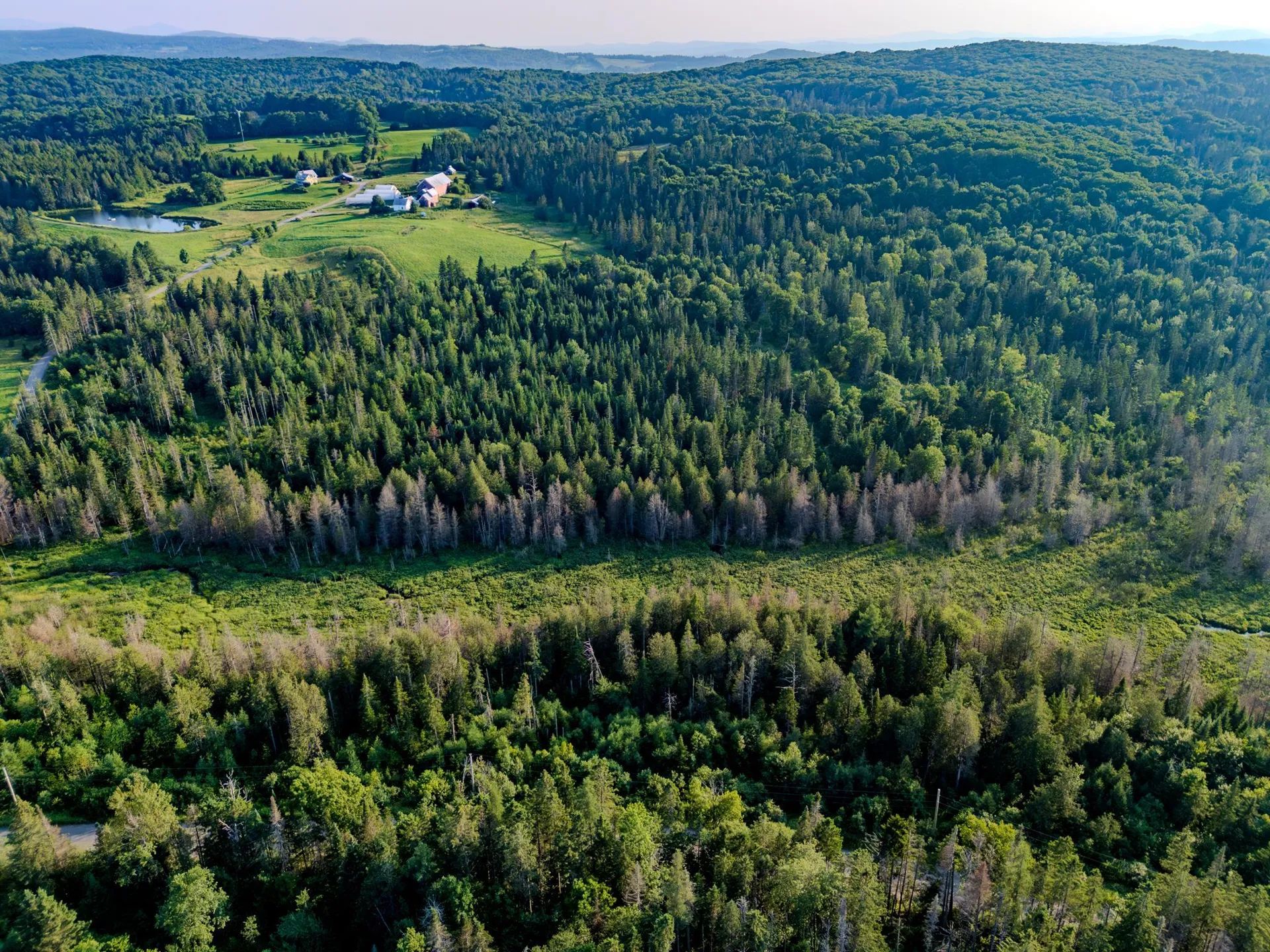 00 Watson Road Walden VT 05843