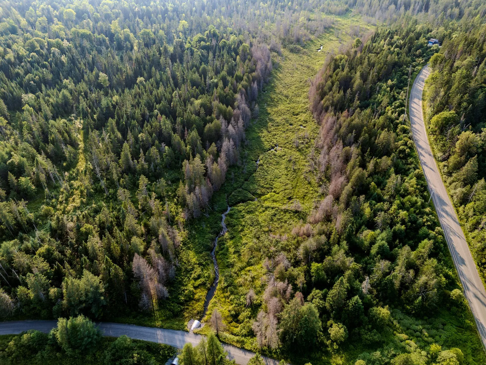 00 Watson Road Walden VT 05843