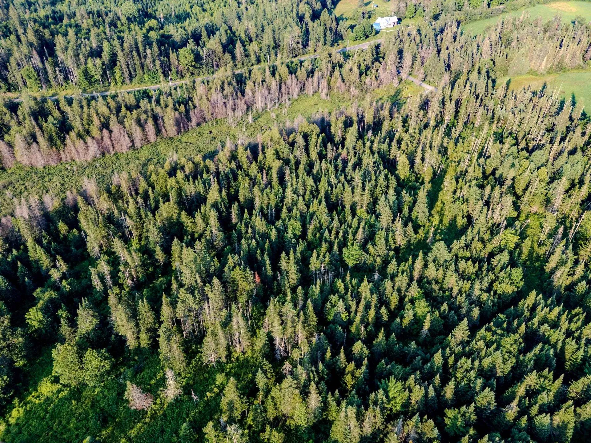 00 Watson Road Walden VT 05843