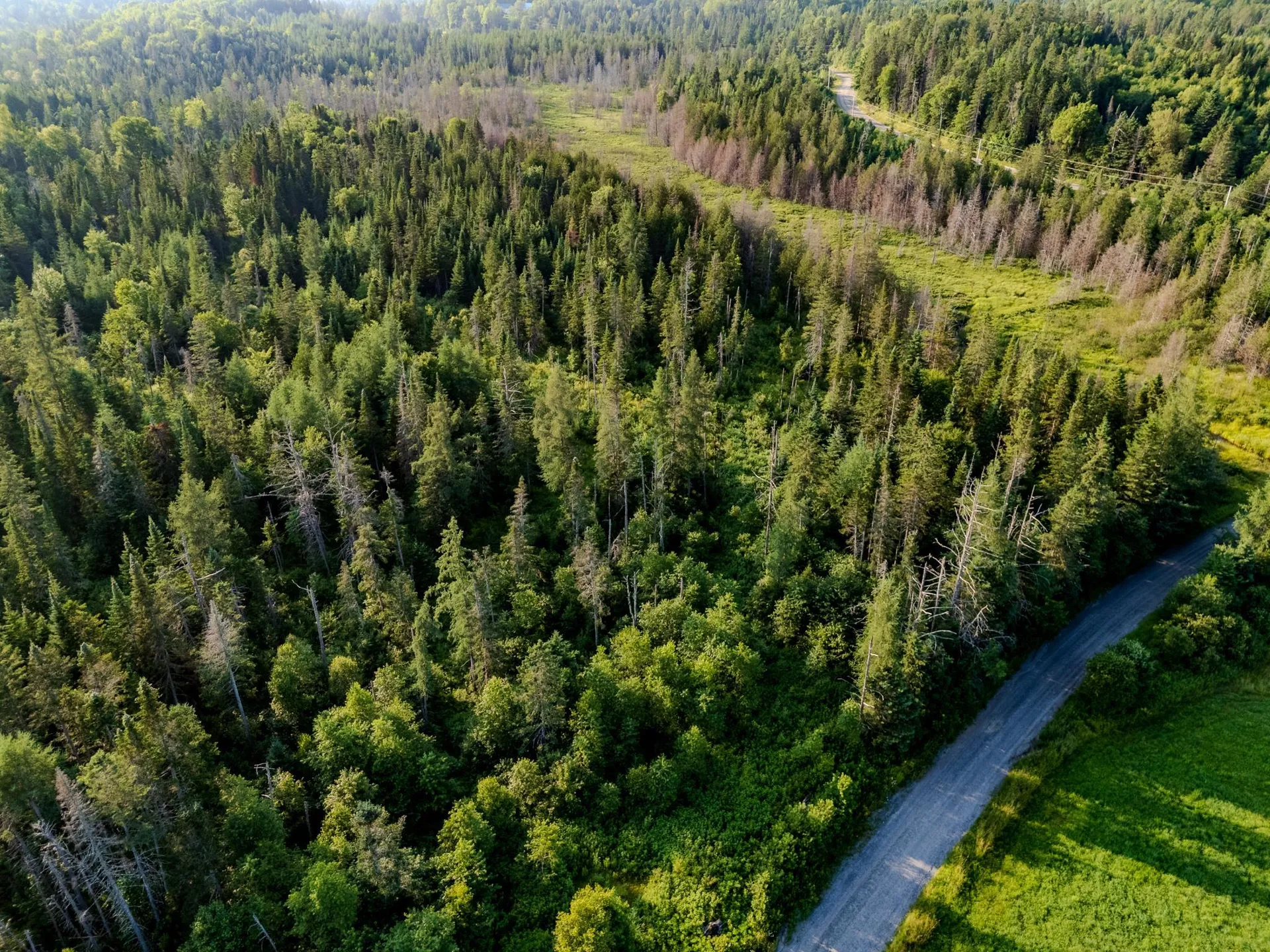 00 Watson Road Walden VT 05843