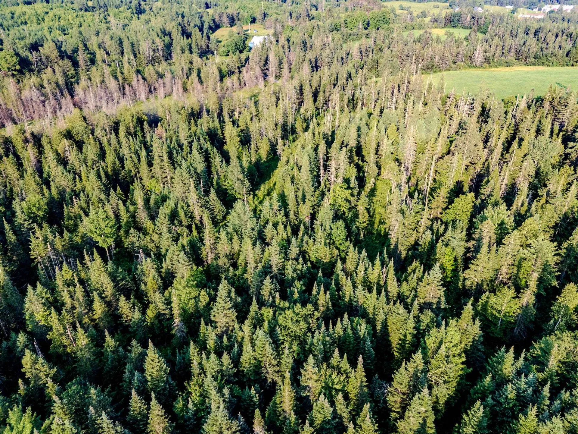 00 Watson Road Walden VT 05843