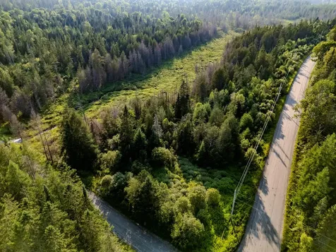 00 Watson Road Walden VT 05843