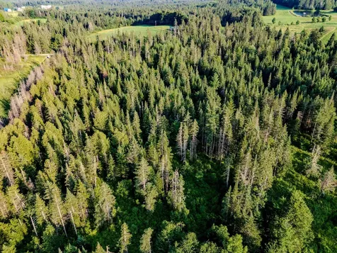 00 Watson Road Walden VT 05843