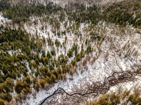 00 Watson Road Walden VT 05843