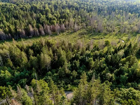 00 Watson Road Walden VT 05843