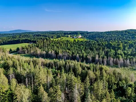 00 Watson Road Walden VT 05843