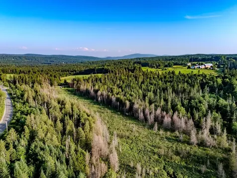 00 Watson Road Walden VT 05843