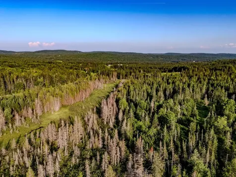 00 Watson Road Walden VT 05843