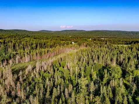 00 Watson Road Walden VT 05843