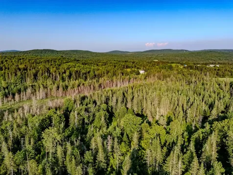 00 Watson Road Walden VT 05843