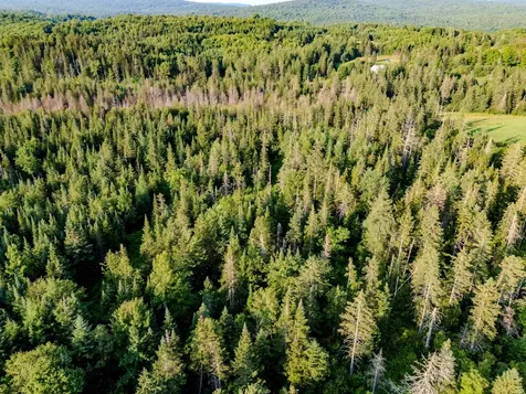 00 Watson Road Walden VT 05843