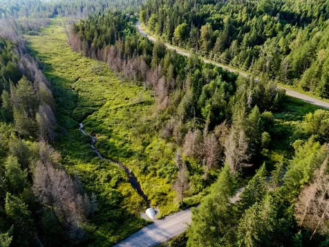 00 Watson Road Walden VT 05843