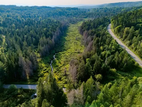 00 Watson Road Walden VT 05843