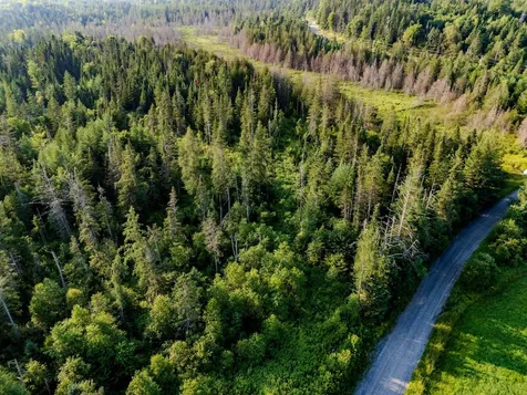 00 Watson Road Walden VT 05843