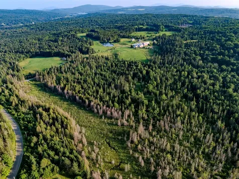 00 Watson Road Walden VT 05843