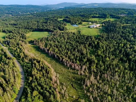 00 Watson Road Walden VT 05843